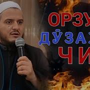 Амри Маъруф 2025