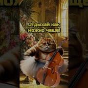 С Добрым Утром Весна