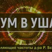 Бинауральные Ритмы Для Устранения Шума В Ушах