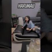 Hamira
