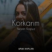 Nesrin Kopuz Korkarum Ufuk Kaplan 2017 Koliva