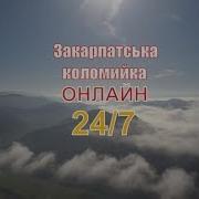 Закарпатські Коломийки