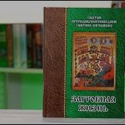 Книга Загробная Жизнь Игошкин