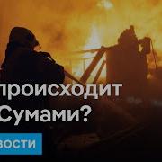 Болины