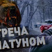 Истории Про Тайгу И Медведей