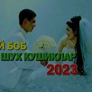 Туй Боб Кушиклар 2023