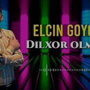 Dilxor Olmusham Zulfigar