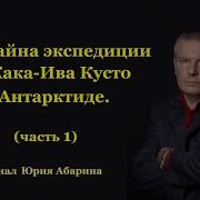 Осы Перомида