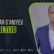 Бешик Бер Хаёт