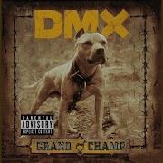 Who Let The Dogs Out Dmx