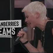 Woodstock 1994 Highlights Dreams The Cranberries