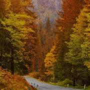 Instrumental Music