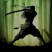 Forest Of Death Shadow Fight 2