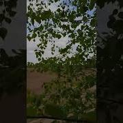 Чеченские Музыка Про Любовь И Разлука