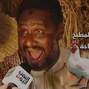علی شاطئ المطبخ نظرت دجاجة