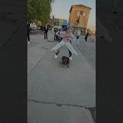 Брусникин