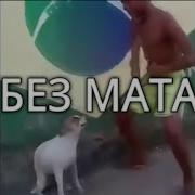На Мне Гуччи На Мне Прадо