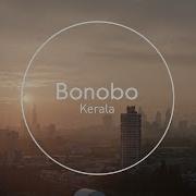 Bonobo Kerala