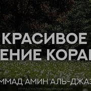 Мухаммад Амин Аль Джазаири