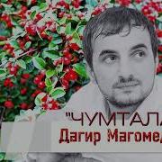 Дагир Магомедов Чумтала