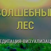 Волшебный Лес Медитация
