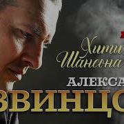 Сборник Песен Звинцов