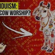 Sacred Cows Permanent Romance
