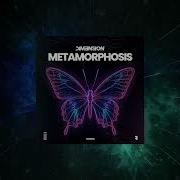 Dim3Nsion Metamorphosis