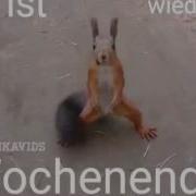 Schönes Wochenende Video