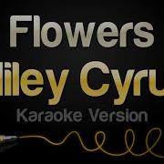 Miley Cyrus Flowers Karaoke