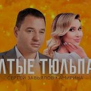 Желтые Тюльпаны Сергей Завьялов