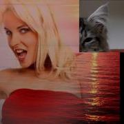 Dsf Sportqiuz Biggi Bardot