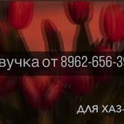 Хаз Йо1 Хьо Дала Декъал Йойл Йинчу Денца