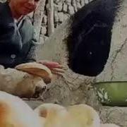 Отам Давлатим Онам Жаннатим
