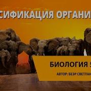 Разнообразие Организмов И Их Классификация 5 Класс