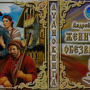 Жениться И Обезвредить Аудиокнига