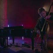 Don T Go Gogo Penguin