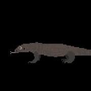 Long Animals For Thekidspictureshow