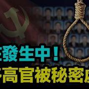 文昭谈古论今最新消息