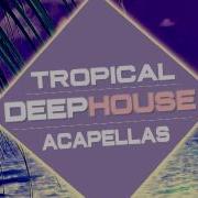 Tropical Deep House Acapellas Vocal Loops Vocal Samples Female Vocal