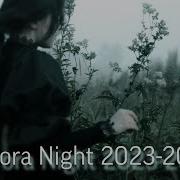 Aurora Night 2024