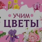 Тема Сажаем Цветы