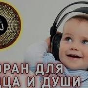 Чтение Корана Для Успокоения Души
