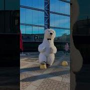 Мишка Ростовой