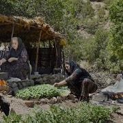 Link In Bio Ere Kurdistana
