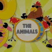 Animal