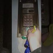 Vizit Бвд N100