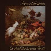 Beyonb The Pane Procol Harum
