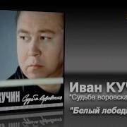 Кучин Бели Лебед