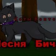 Песня Бича Коты Воители